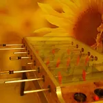 Alpen Adria Hotel&spa Hotel Presseggersee