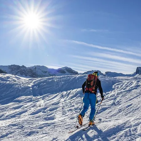 Alpen Adria & פרסגרזי